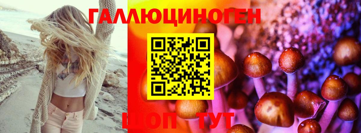 Галлюциногенные грибы Psilocybe  Тара 