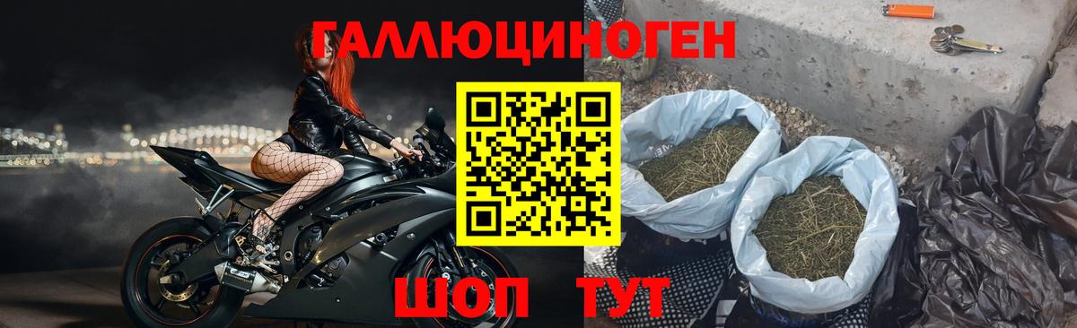 Псилоцибиновые грибы Psilocybe  Псилоцибиновые грибы Magic Shrooms  Тара  Вход с VPN 