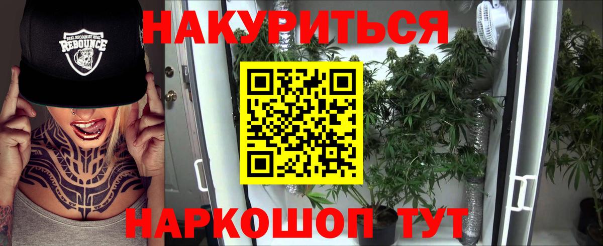 Тара  Конопля LSD WEED  Вход с VPN  Каннабис AK-47  Конопля планчик 