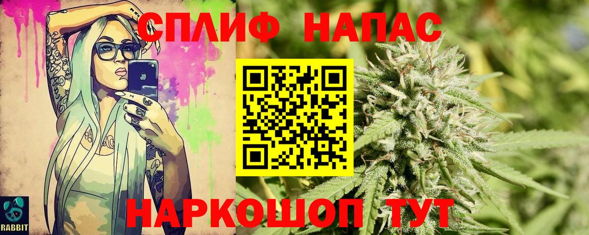 Бошки Шишки конопля Тара
